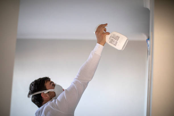 Certified Mold Removal in Owings, MD