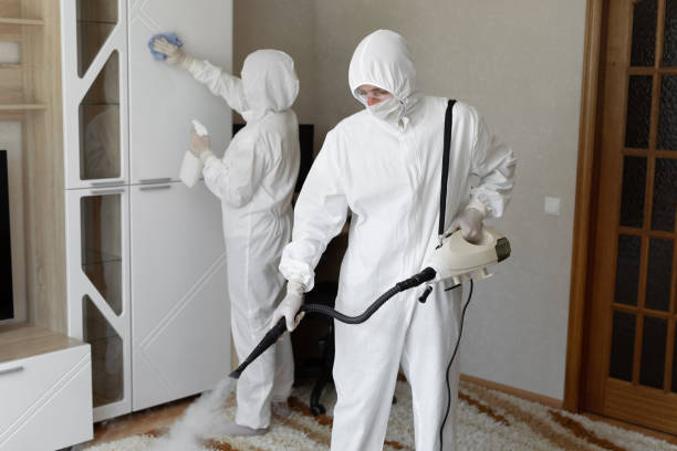 Best Toxic Mold Removal  in Owings, MD