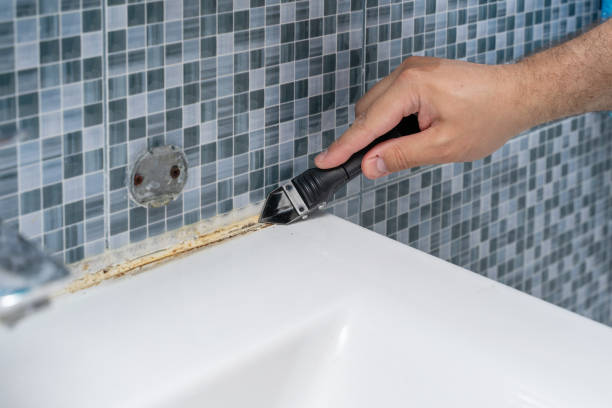 Best Mold Removal Company Near Me  in Owings, MD
