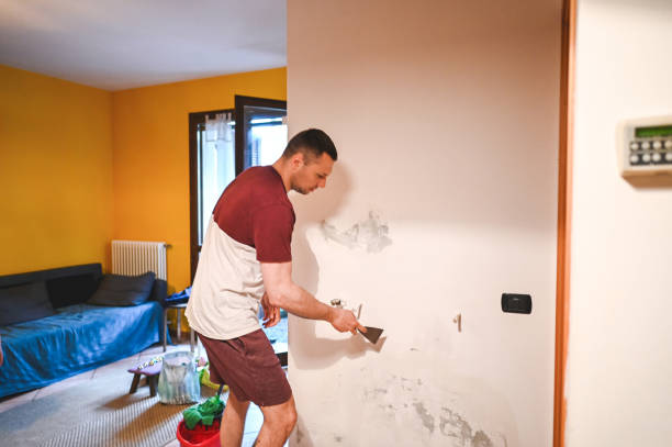 Best Professional Mold Removal  in Owings, MD